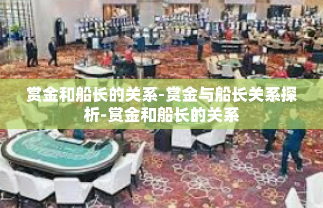 赏金和船长的关系-赏金与船长关系探析-赏金和船长的关系