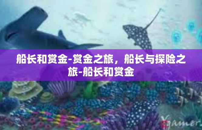 船长和赏金-赏金之旅，船长与探险之旅-船长和赏金