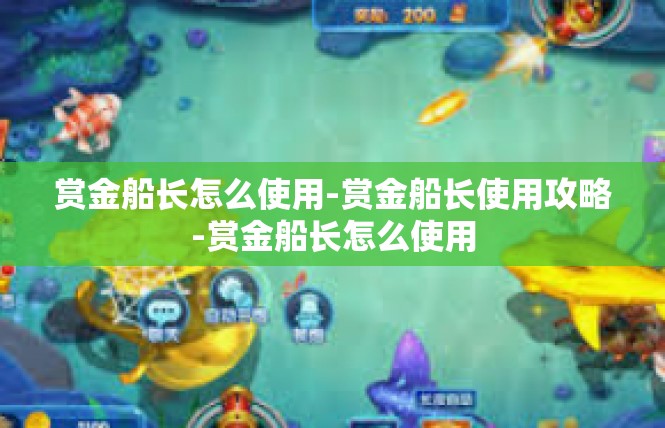 赏金船长怎么使用-赏金船长使用攻略-赏金船长怎么使用